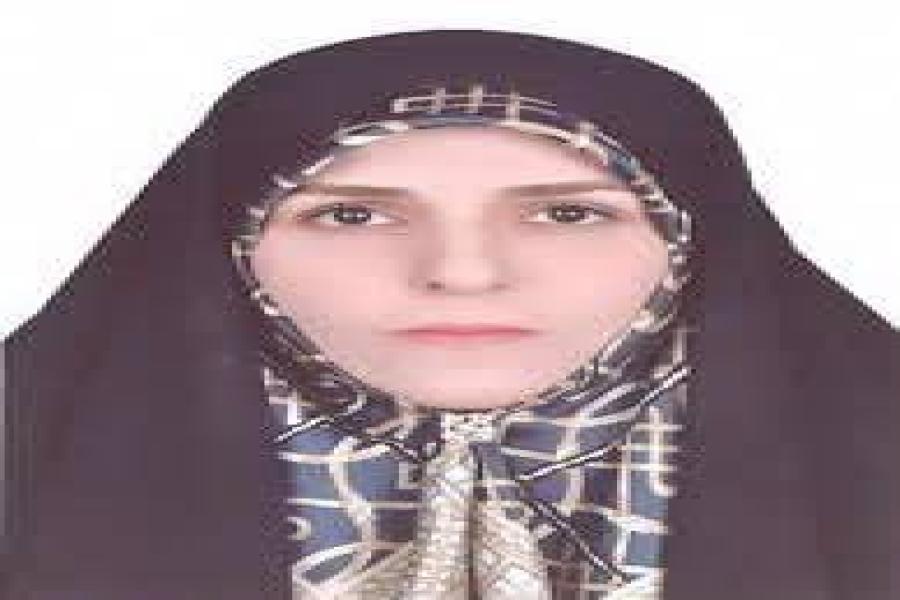 دکتر حسینی اکبرنژاد: بدون اصول راهنمای ماهوی، استناد به معاهدات حقوق بشری در آراء قضایی عملاً ناکارآمد است