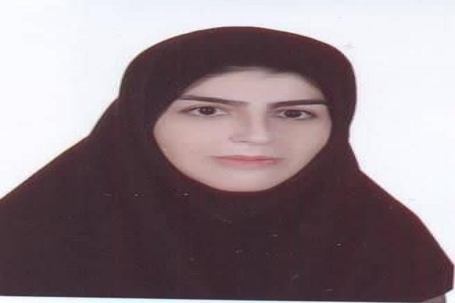 سرمایه‌گذاری مردمی در انرژی‌های تجدیدپذیر، راهکار تحقق عدالت اقتصادی و توسعه پایدار